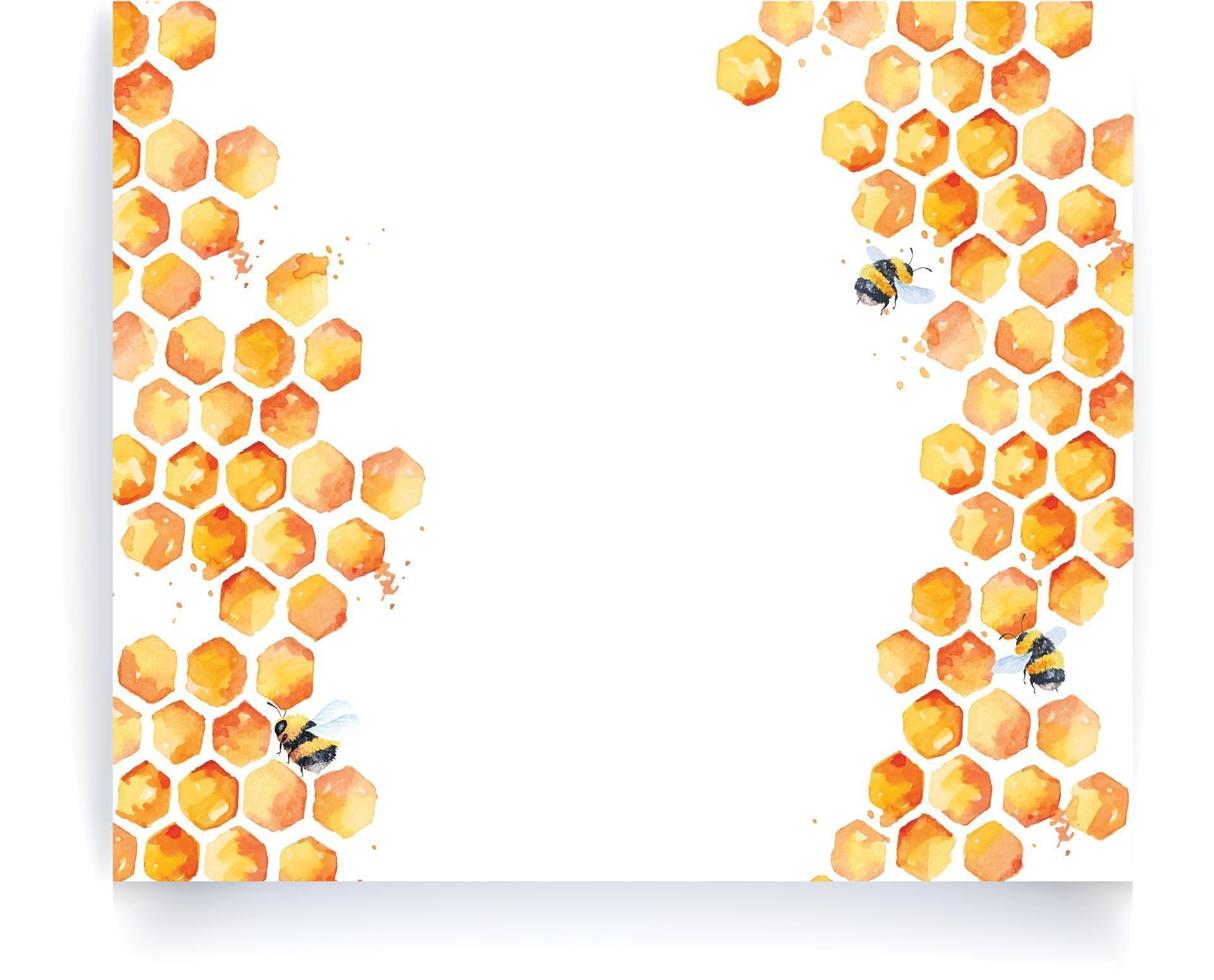 abejas y bordes de acuarela de miel vector