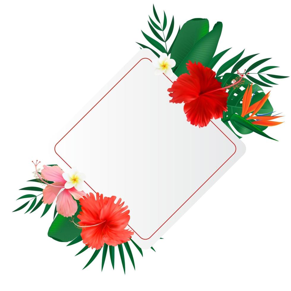 Abstract natural frame with Tropical Palm and Monstera Leaves exotic flower isolated on white vector