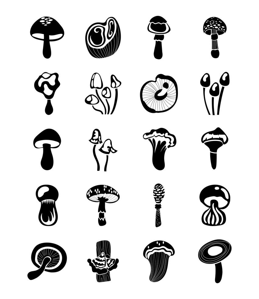 bundle of fungus set icons vector