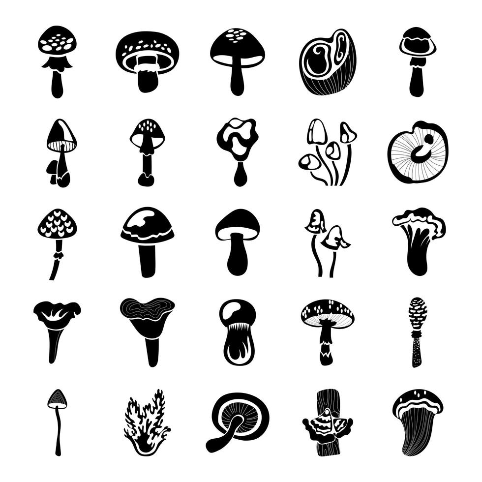 bundle of fungus set icons vector