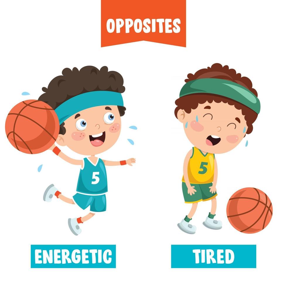 Opposite Adjectives With Cartoon Drawings vector