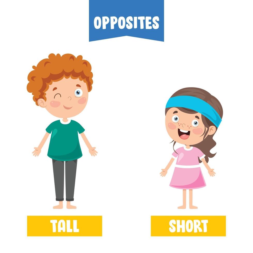 Opposite Adjectives With Cartoon Drawings vector