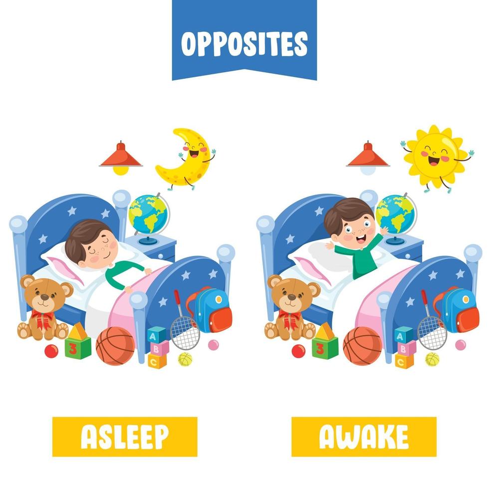 Opposite Adjectives With Cartoon Drawings vector