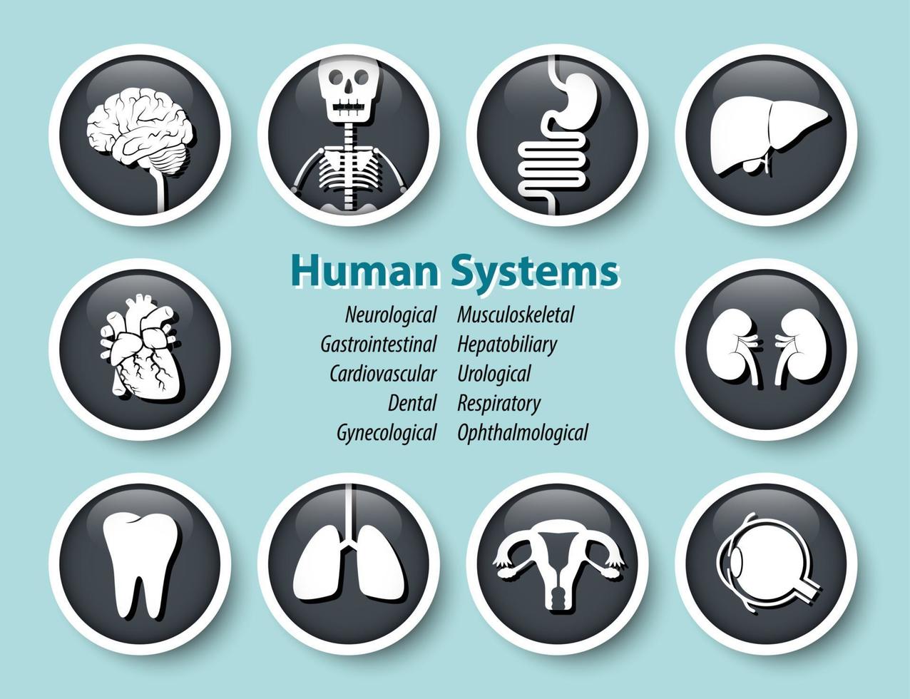 conjunto de iconos de sistemas humanos vector de diseño de cubierta de vidrio redondo