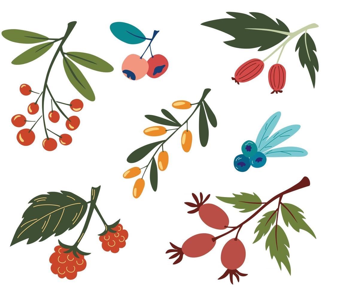 Collection with colorful doodle berry branches and leaves Buckthorn blueberry rosehip currant rowanberry Vegan farm detox natural food concept Summer food Vector illustration flat design