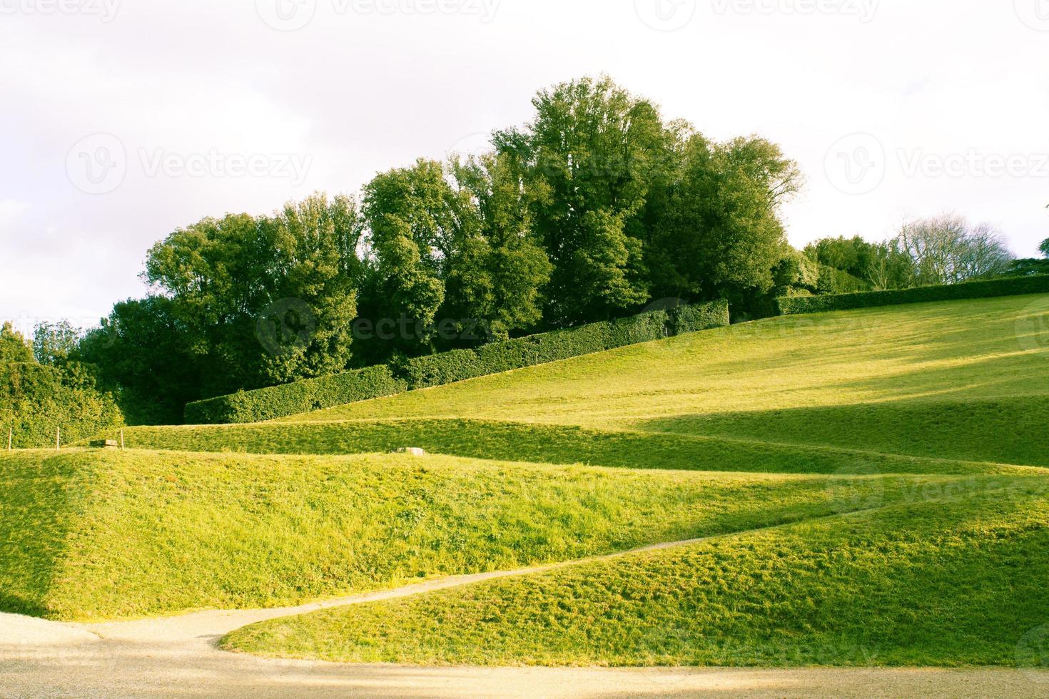 Green park in Firenze photo