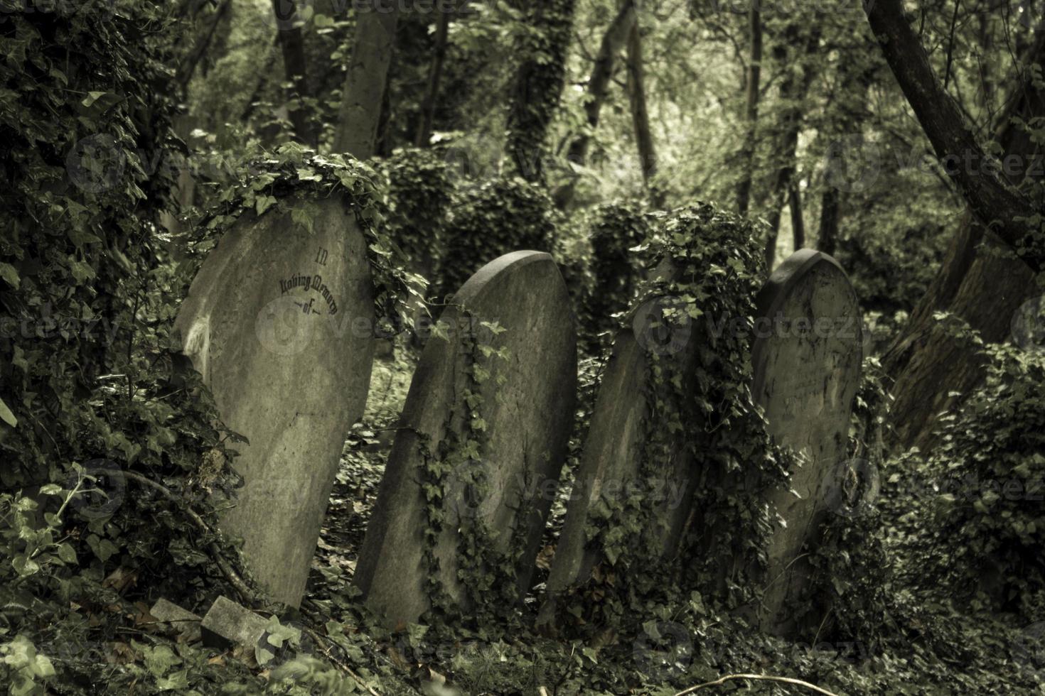 Old grave stones photo