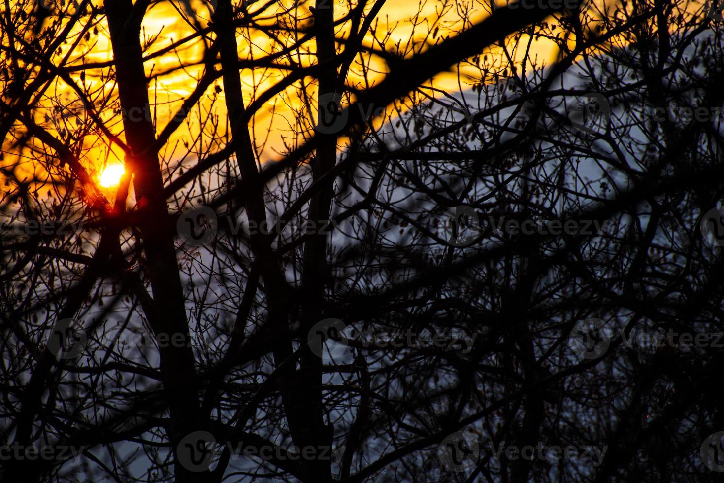 puesta de sol detrás de los árboles foto