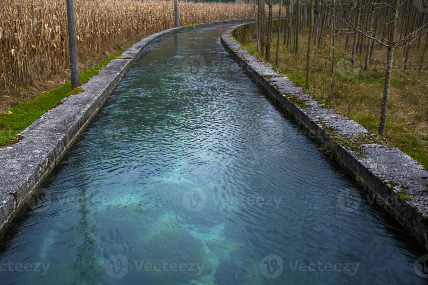 Water channel between grass and trees photo