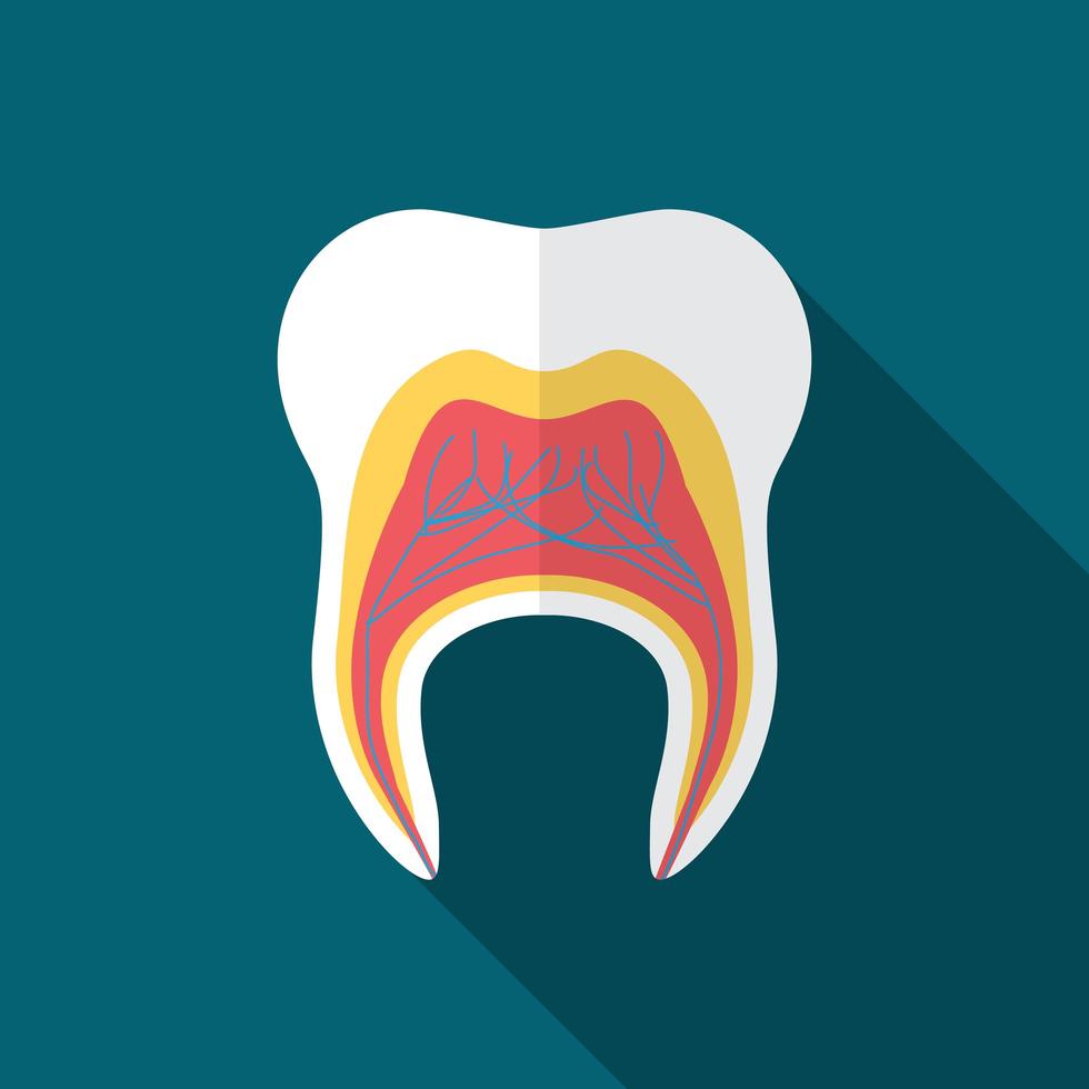 Flat design modern vector illustration of tooth icon with long shadow