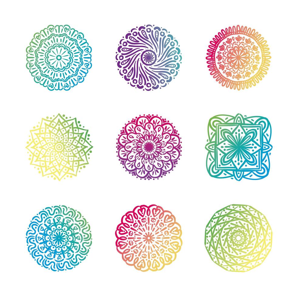 paquete de nueve coloridos mandalas set iconos vector