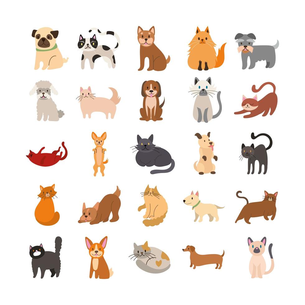 paquete de gatos y perros establecer iconos vector