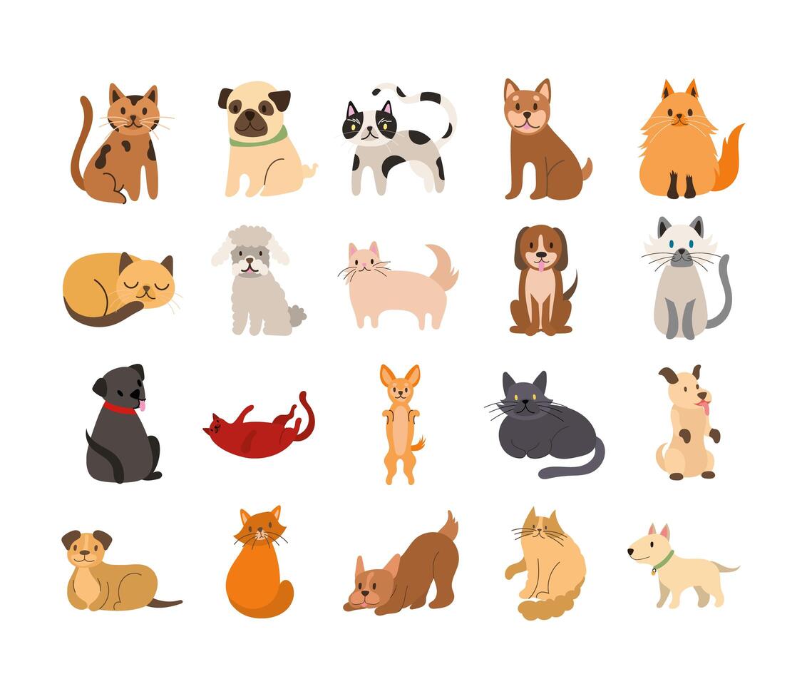 paquete de gatos y perros establecer iconos vector