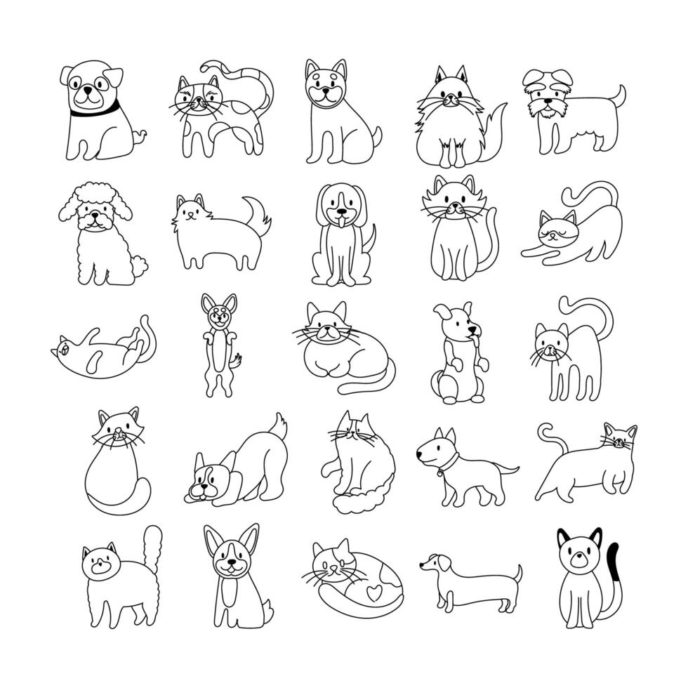 bundle of cats and dogs set icons vector