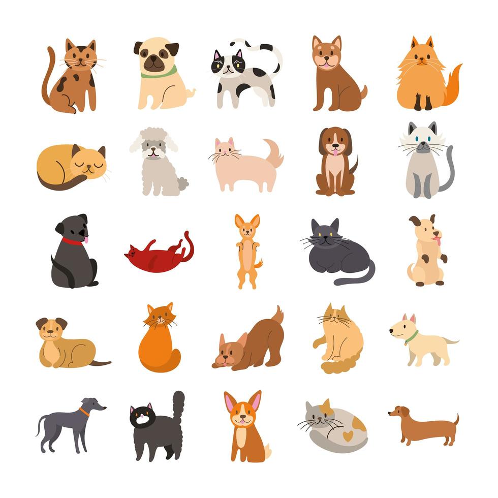 paquete de gatos y perros establecer iconos vector