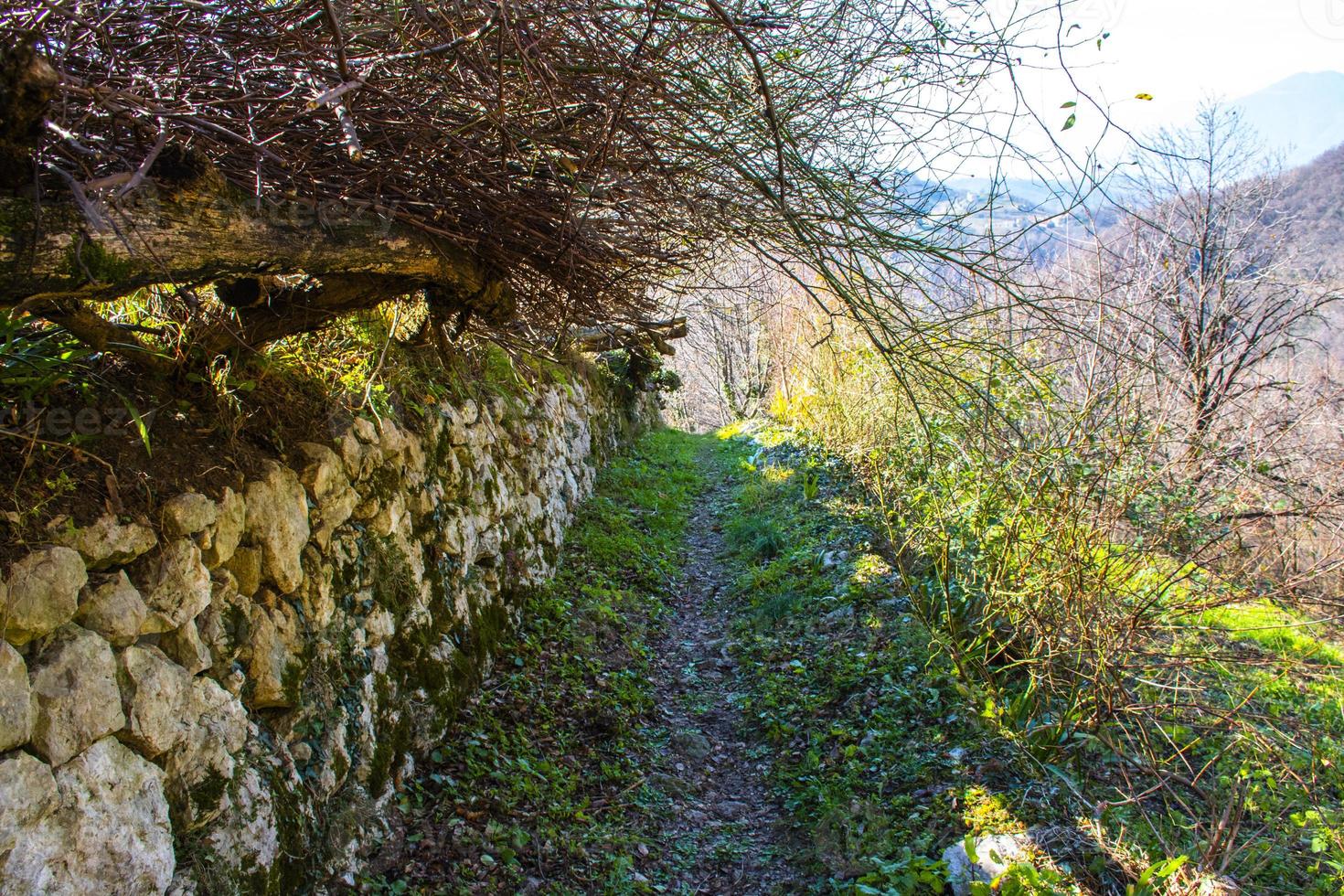 camino con muro de piedra foto