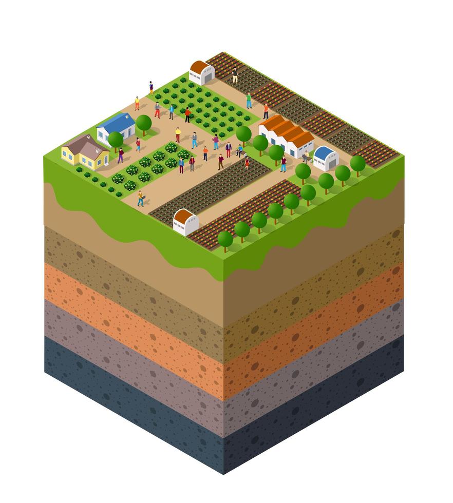 Capas de suelo de granja forestal geológicas y subterráneas vector