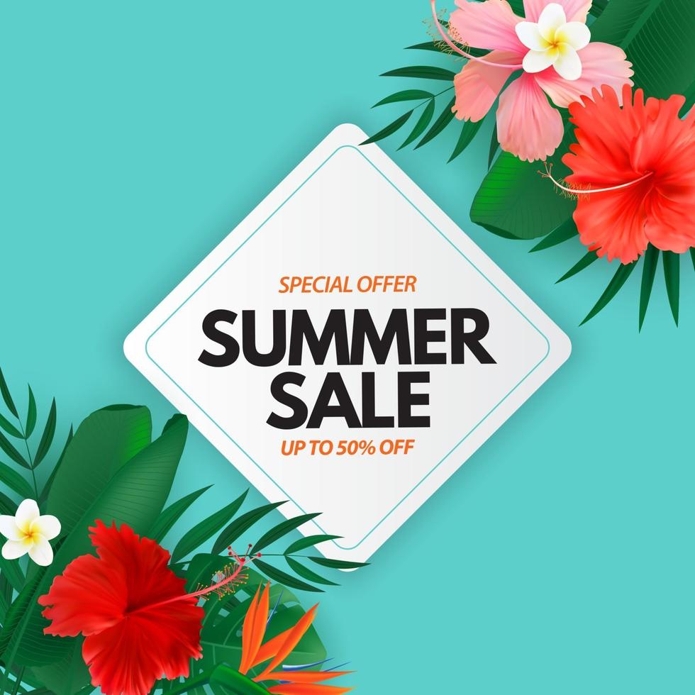 Summer sale poster. Natural Background with Tropical Palm and Monstera Leaves, exotic flower. vector