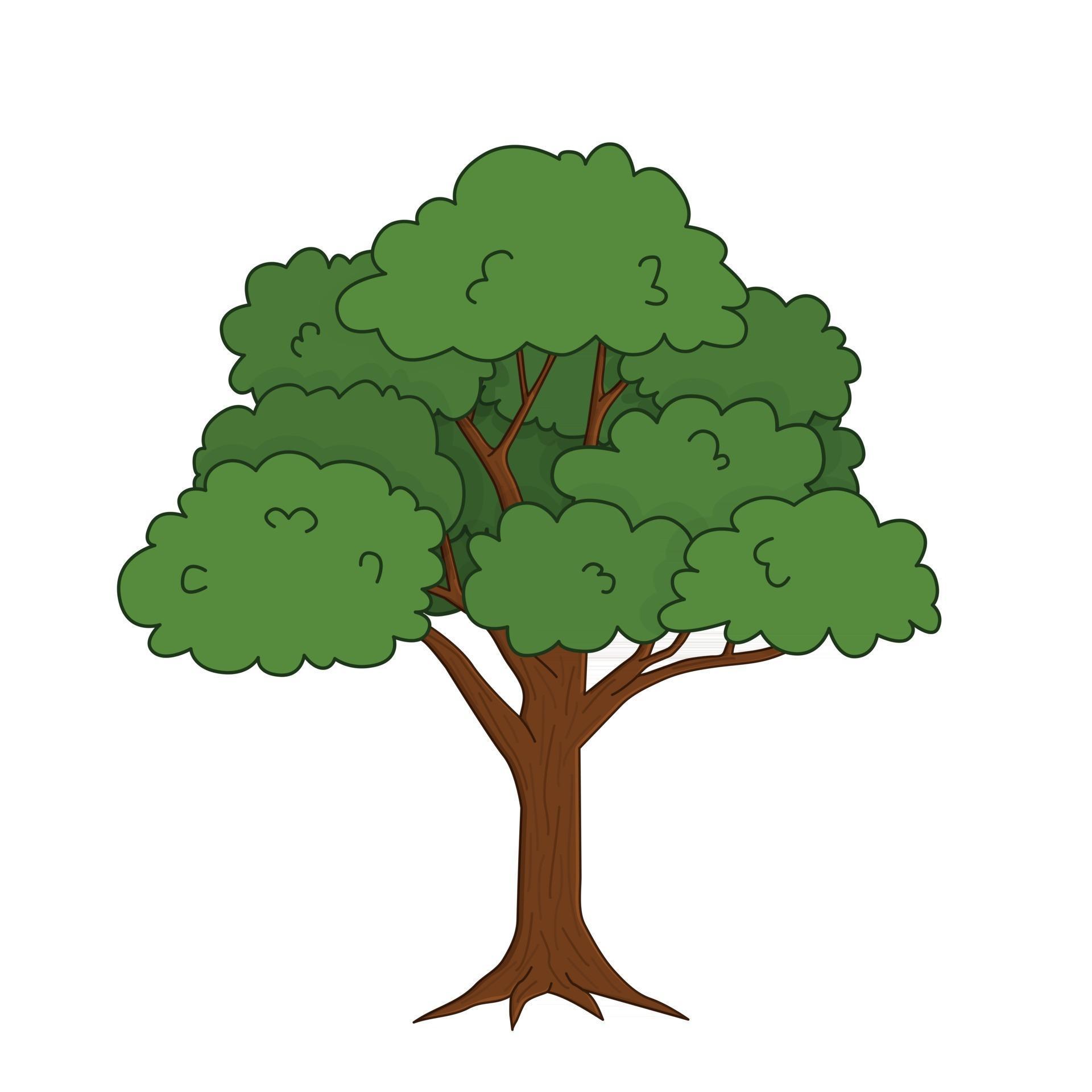 tree outline tree outline
