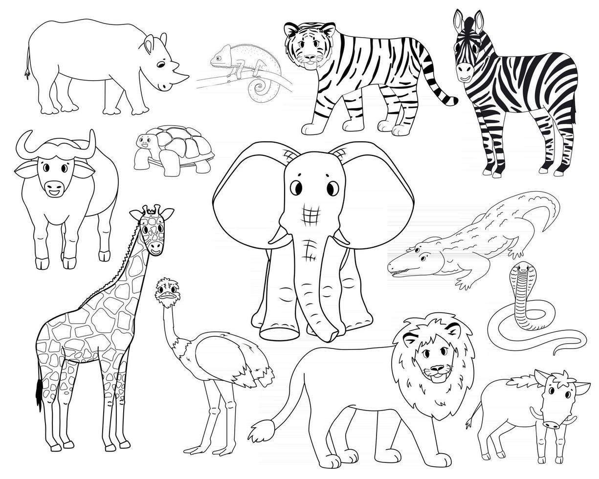 conjunto de dibujos animados blancos contorno aislado animales de la sabana tigre león rinoceronte jabalí común búfalo africano tortuga camaleón cebra avestruz elefante jirafa cocodrilo cobra para niños vector