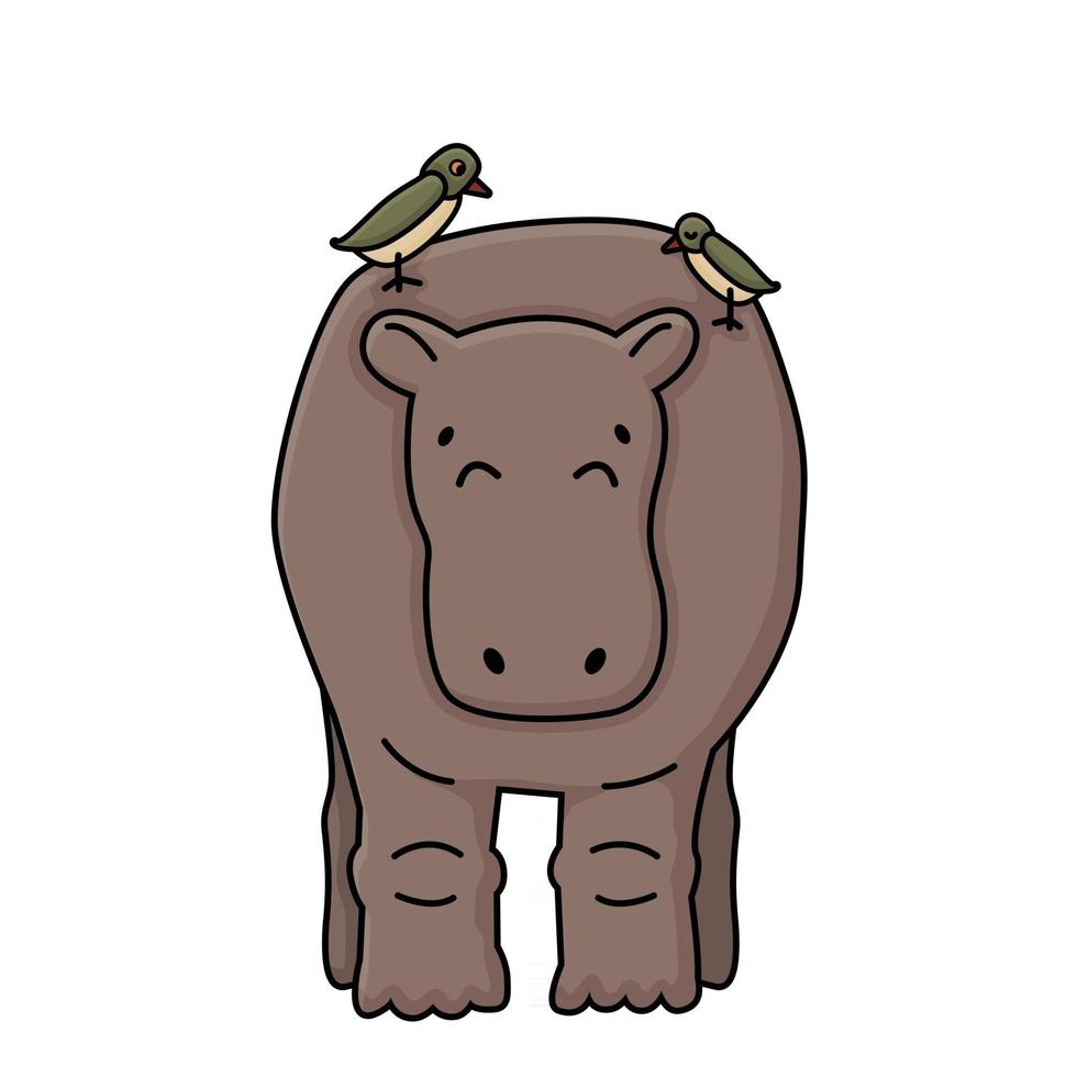 Brown vector outline cartoon gray kid hippo stands on the ground eyes are closed Two Oxpecker birds are on the back of hippopotamus Massage cleaning grooming work on white background