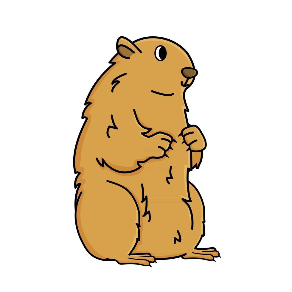 La marmota marrón está sentada en el feliz día de la marmota animal está aislado sobre fondo blanco. vector