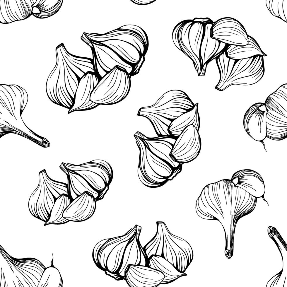 Garlic seamless pattern. Hand drawn vector illustration