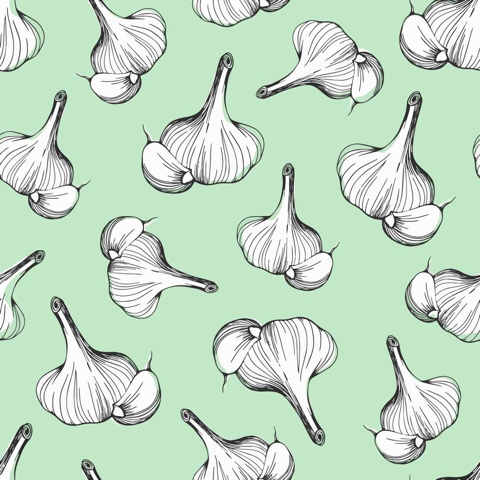 Garlic seamless pattern. Hand drawn vector illustration