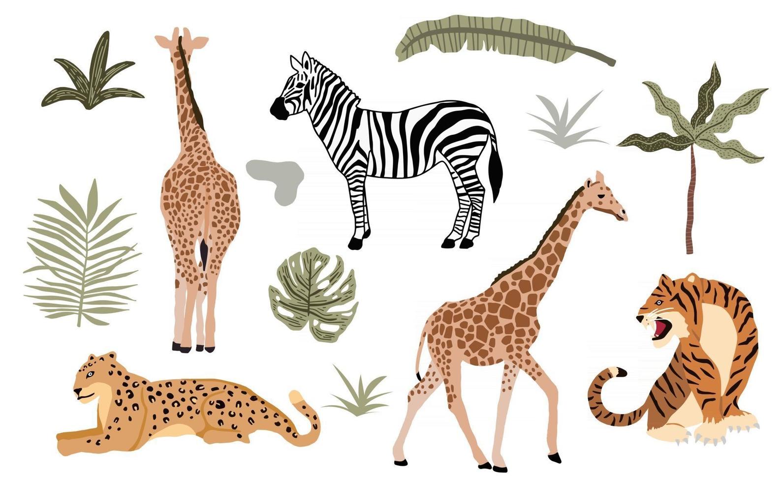 Safari animal object collection with leopard vector