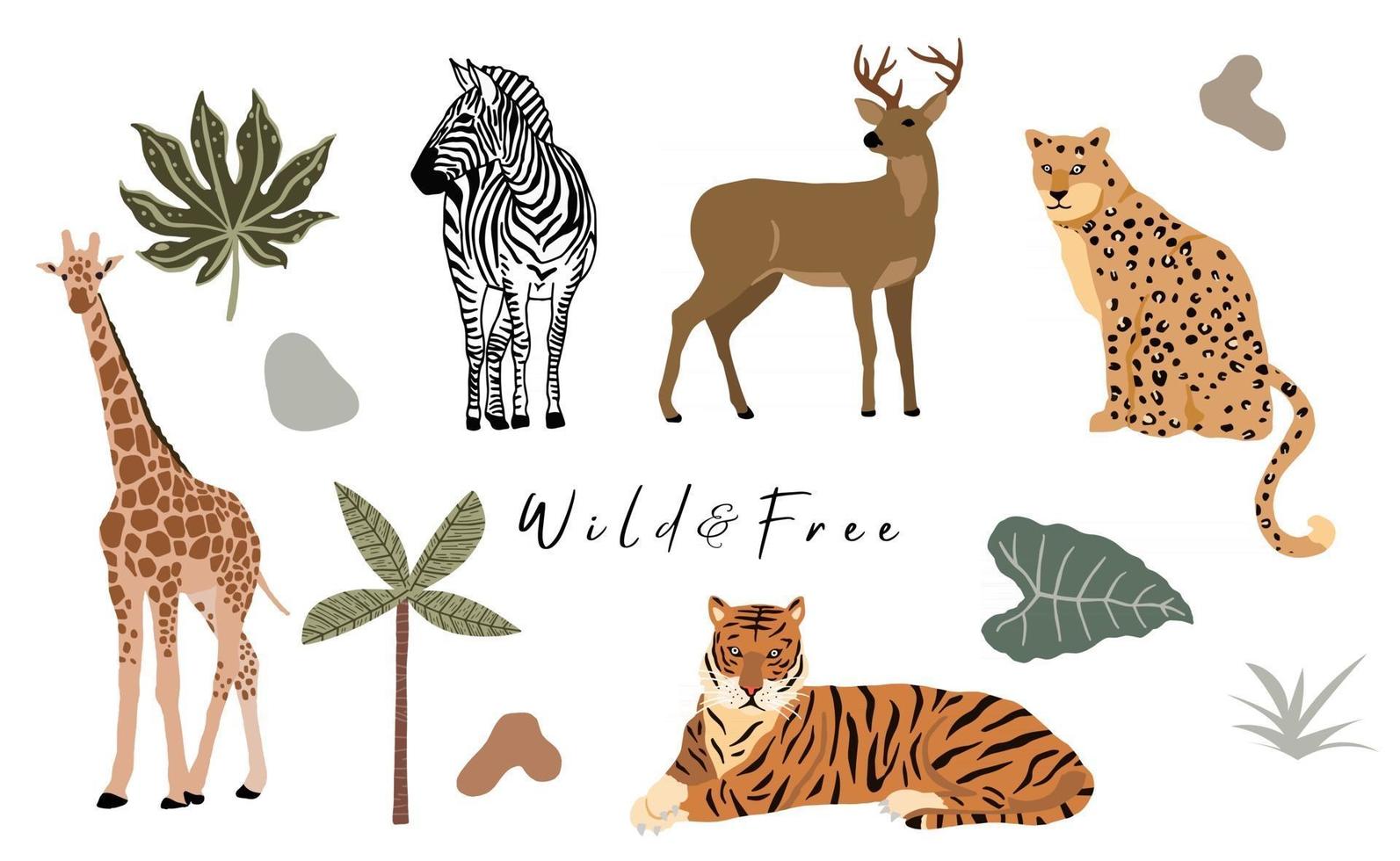 Safari animal object collection with giraffe zebra leopard tiger vector