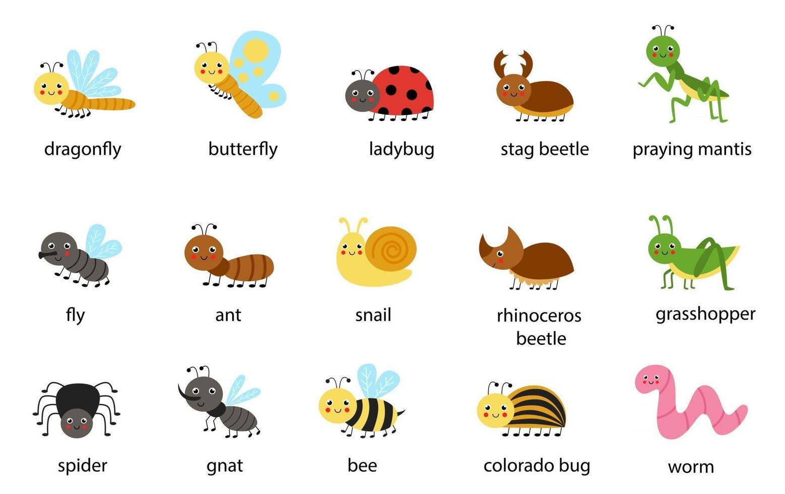 conjunto de insectos de dibujos animados lindo con ilustraciones de vectores de nombres