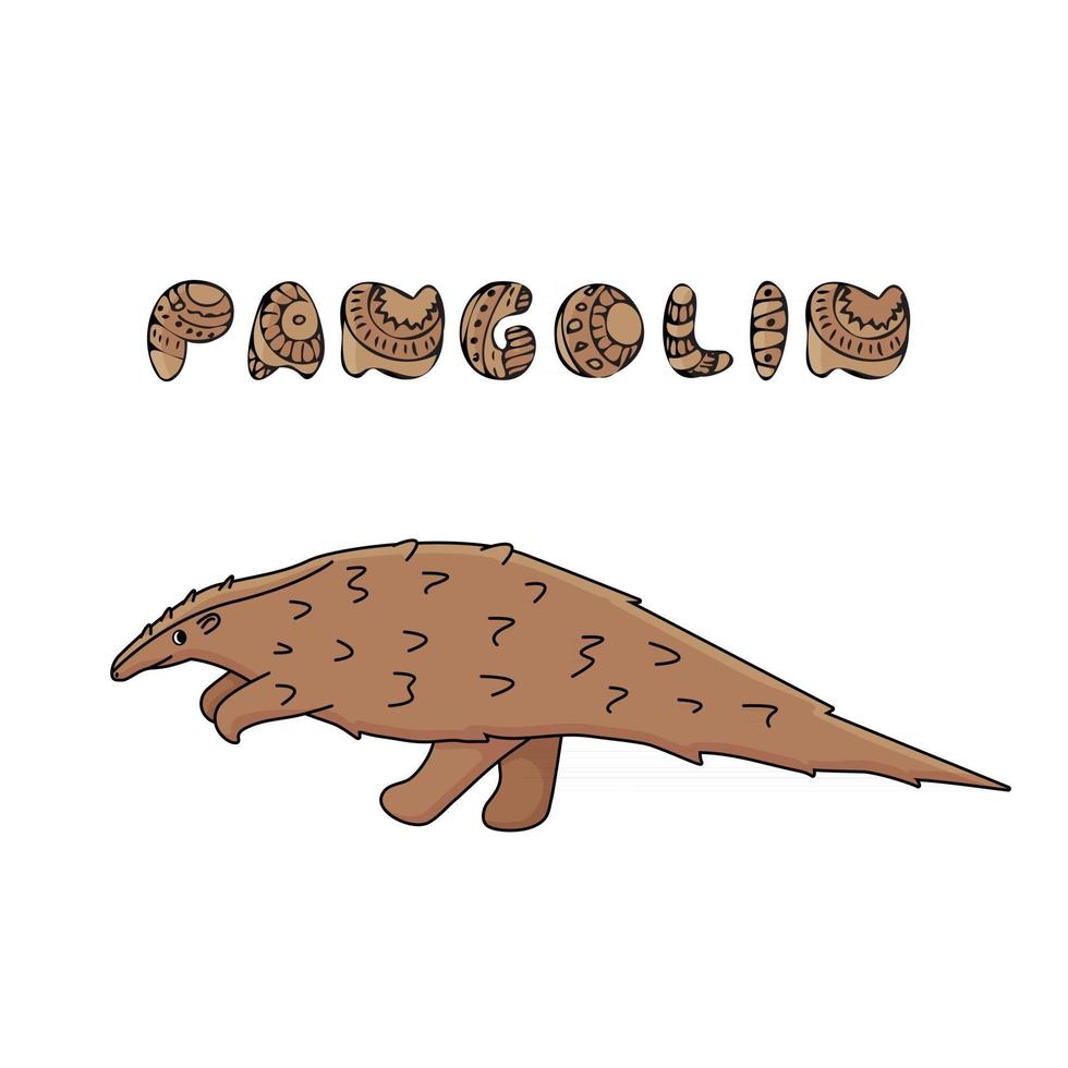 Brown Pangolin or scaly anteater with name text Vector outline doodle cartoon single African or Asian animal Isolated Illustration on white background