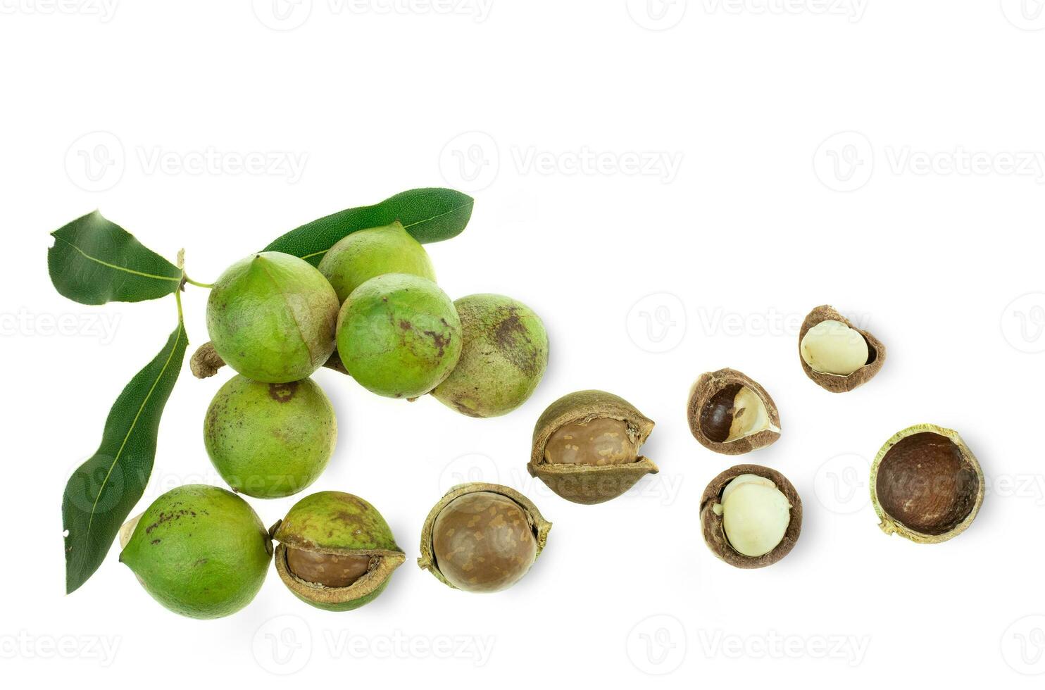 Group of peeled and unpeeled macadamia nuts in sack bag at white background photo