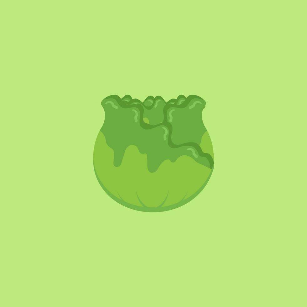 Stock Vector of Cabbage