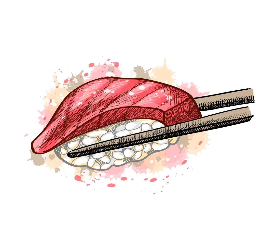 Gunkan sushi with tuna from a splash of watercolor hand drawn sketch Vector illustration of paints