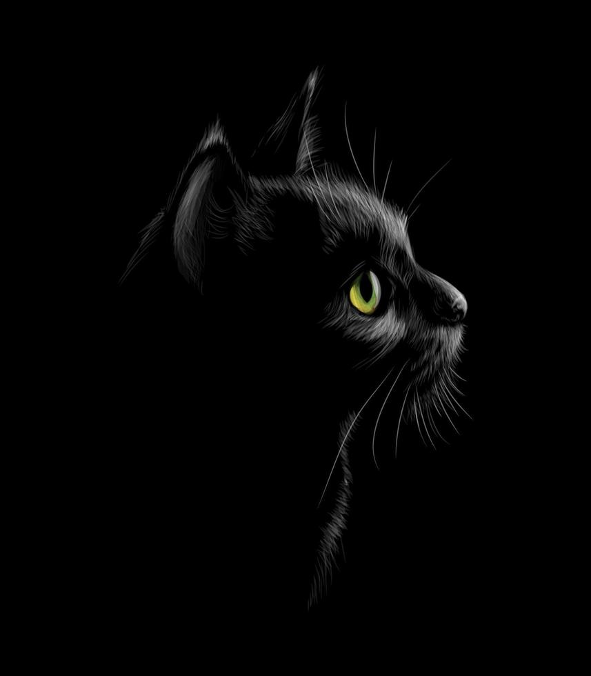 Retrato de un gato en una ilustración de vector de fondo negro