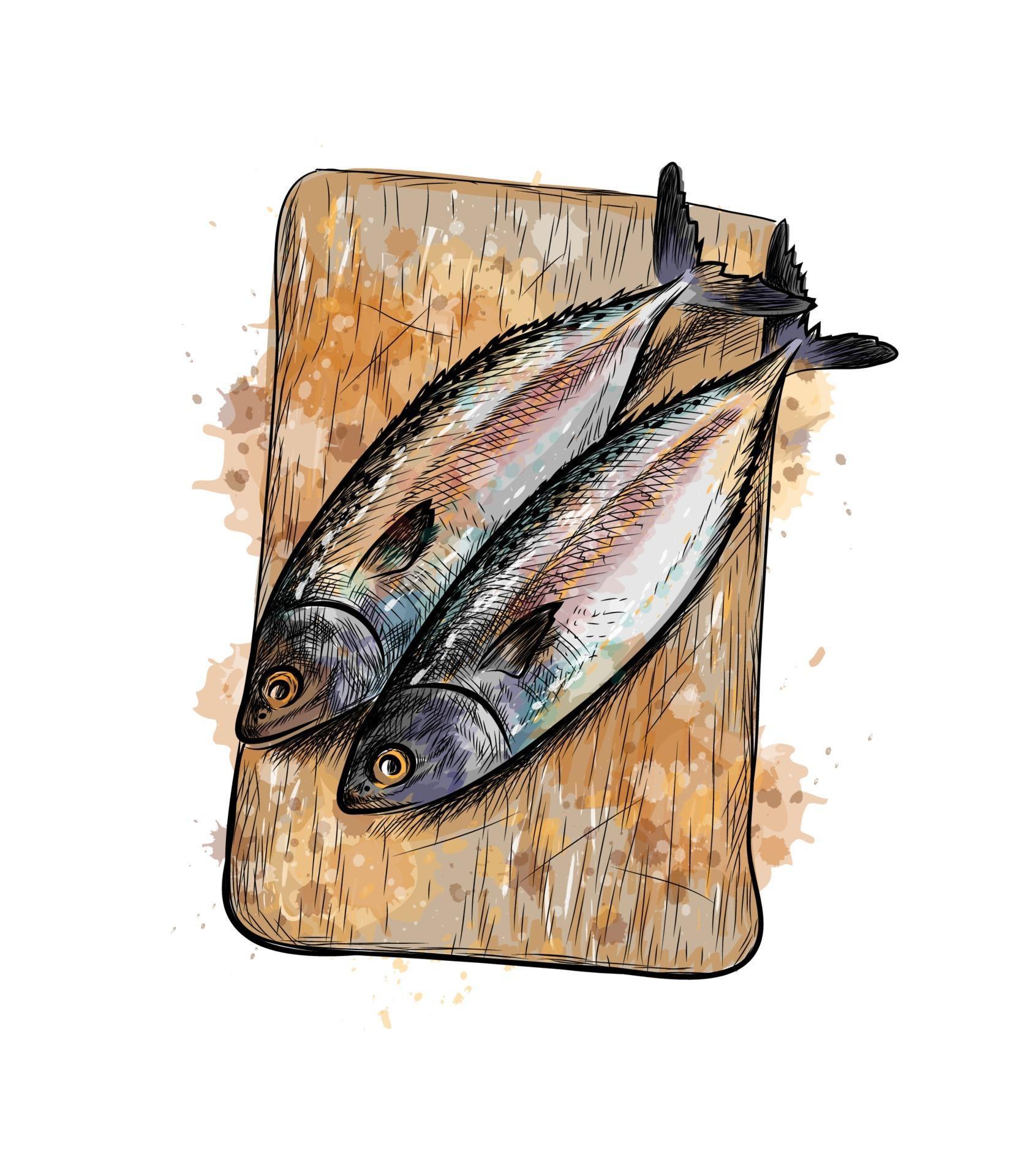 Salted herring fish on a cutting board from a splash of watercolor hand drawn sketch Vector