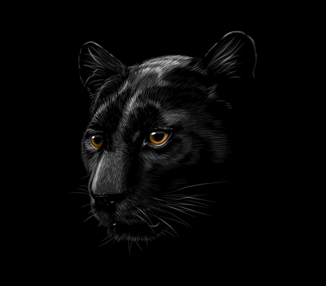 Head of a black panther isolated on a black background Vector illustration