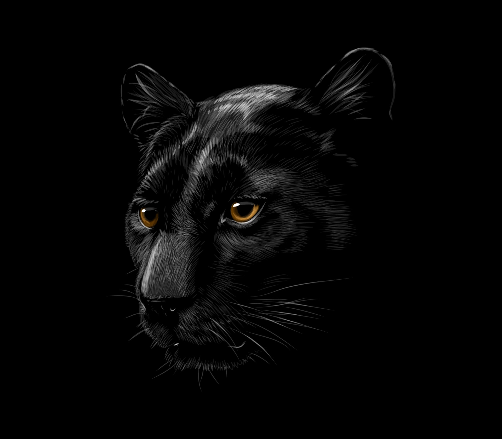 cabeza de una pantera negra aislada en una ilustración de vector de fondo  negro 2565843 Vector en Vecteezy