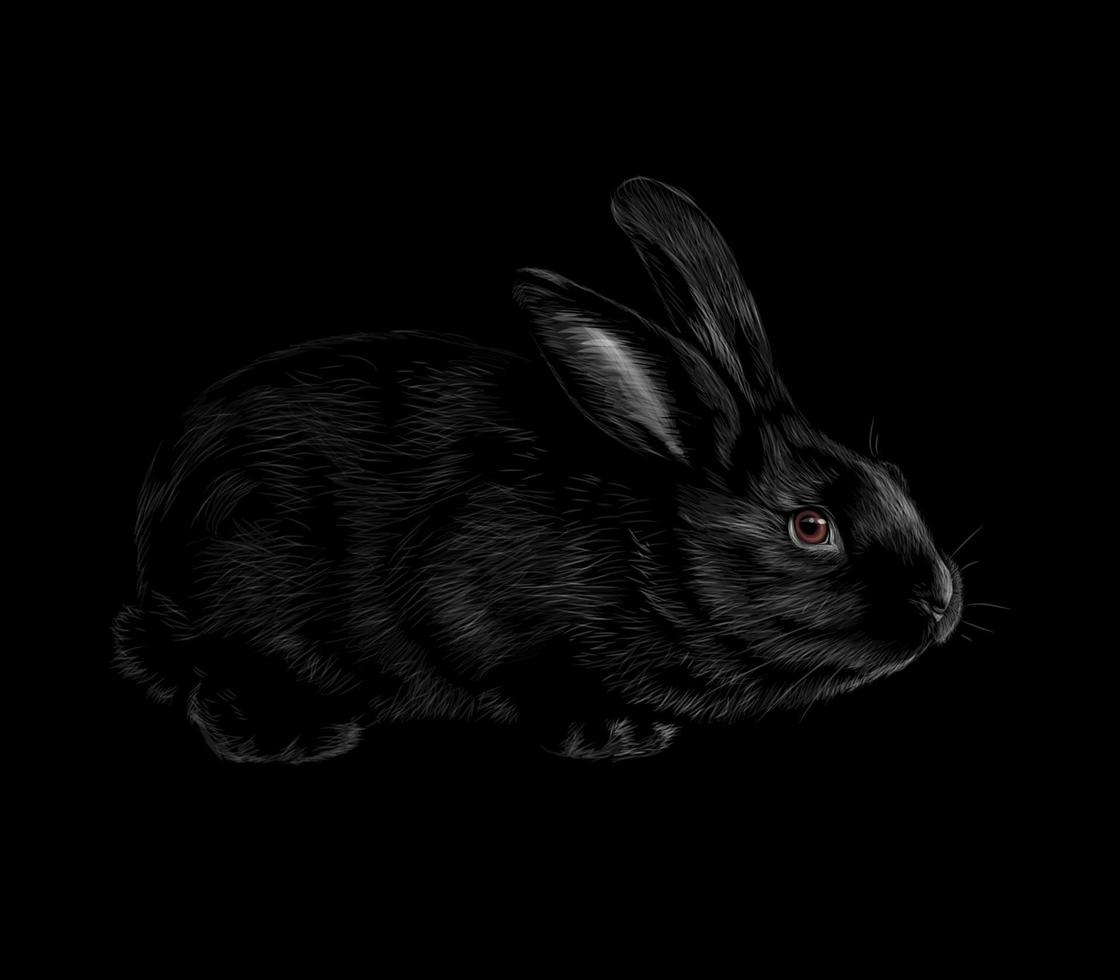 Portrait of a rabbit on a black background Vector illustration