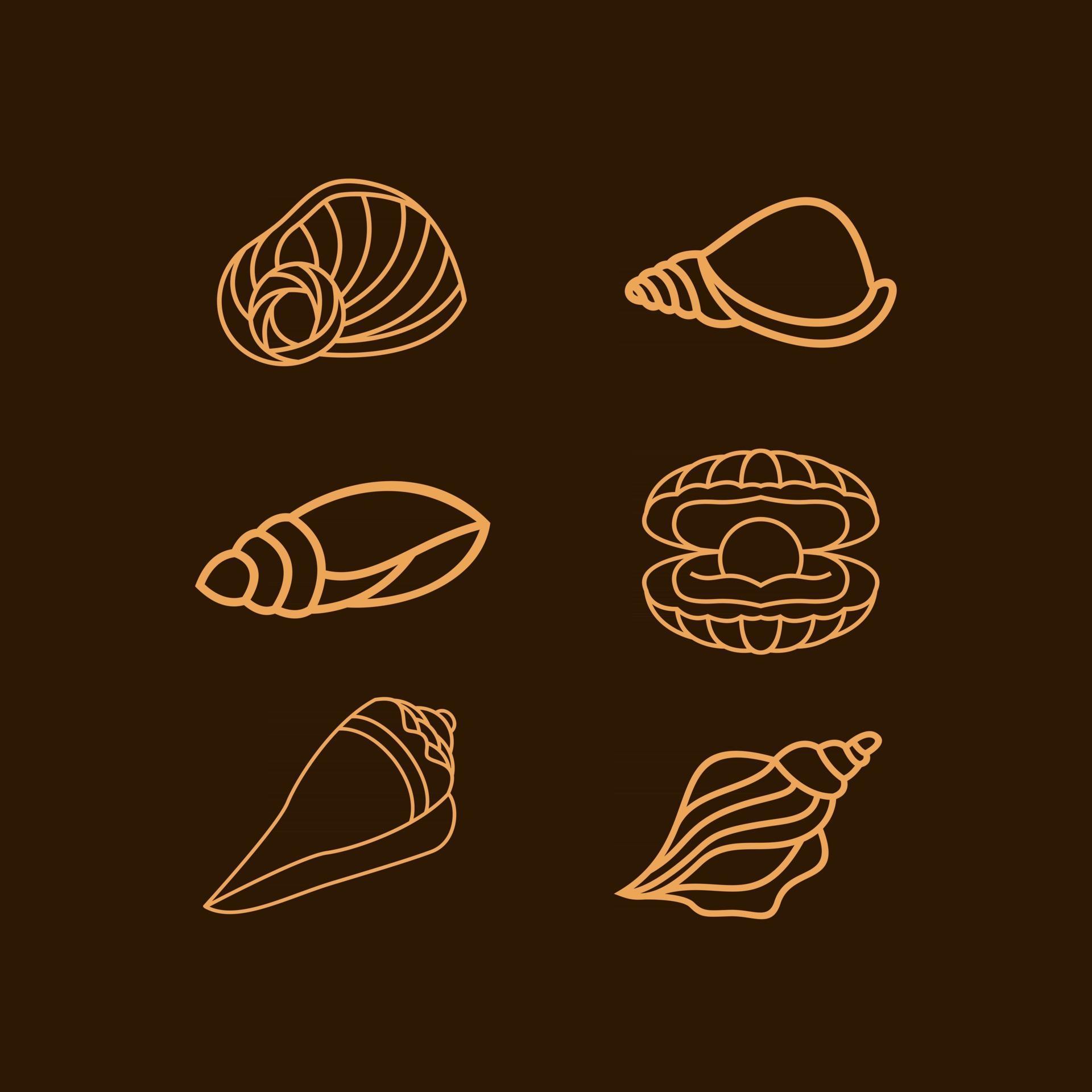 Shell bundle with line art style design vector 2566373 Vector Art at ...