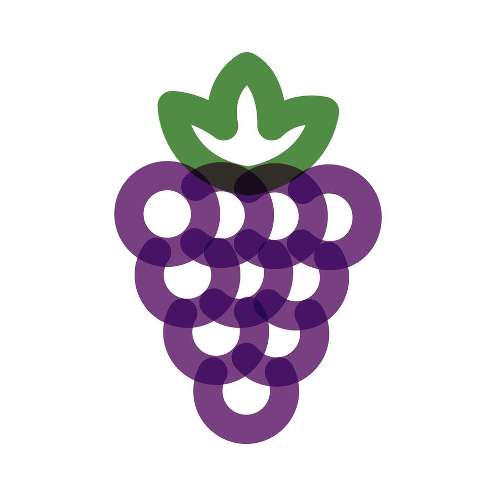 grapes fresh fruit multiply line style icon vector