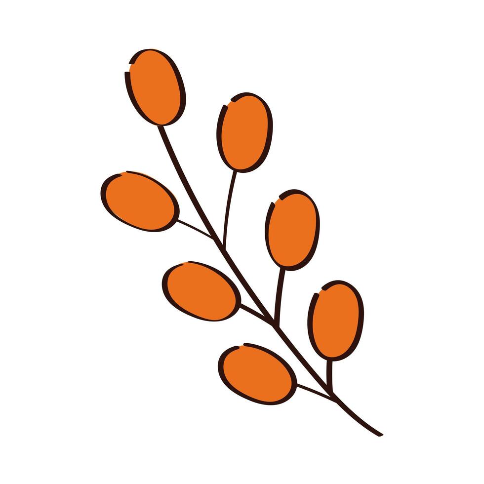 branch with seeds plant ecology hand draw style icon vector