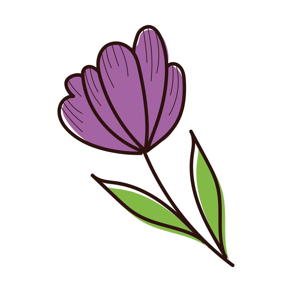 beautifull flower with leafs garden spring hand draw style vector