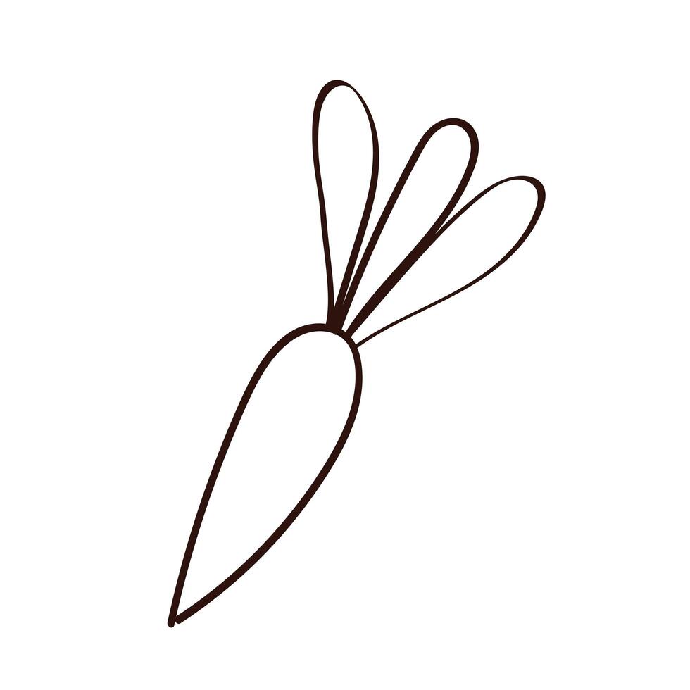 fresh carrot vegetable line style vector