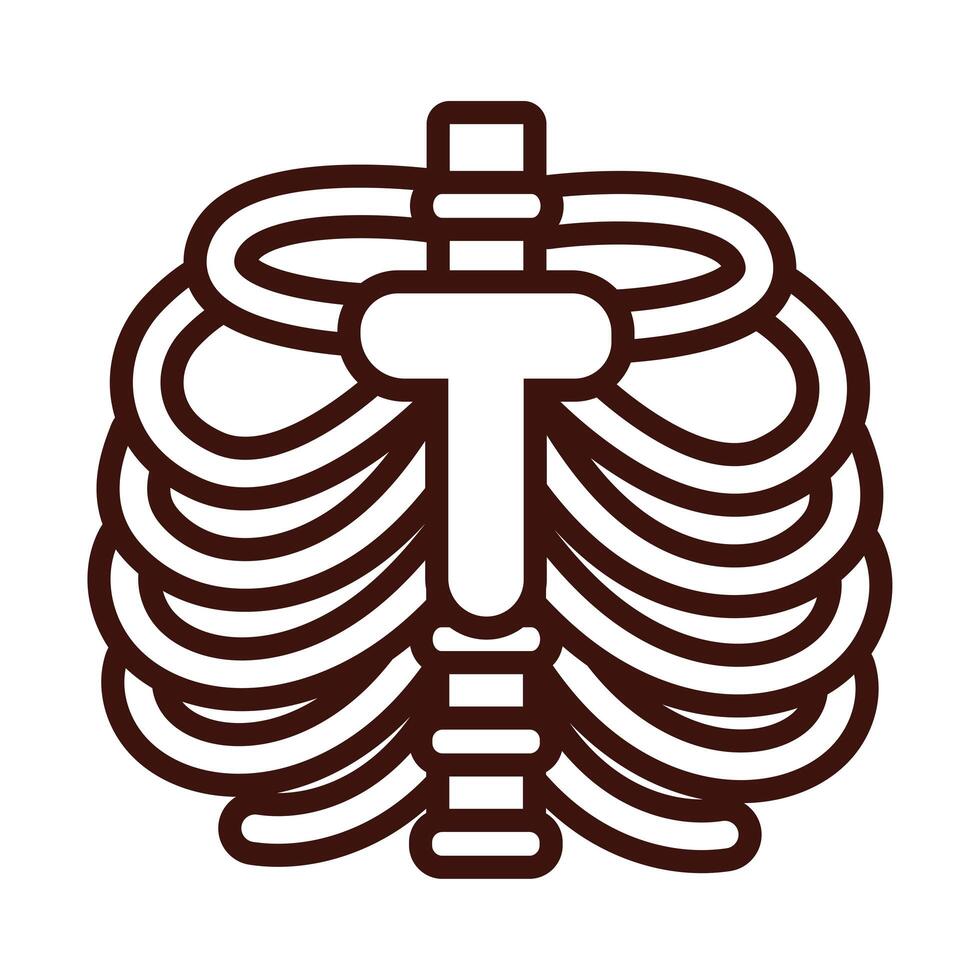 costillas huesos cuerpo parte humana estilo de línea vector