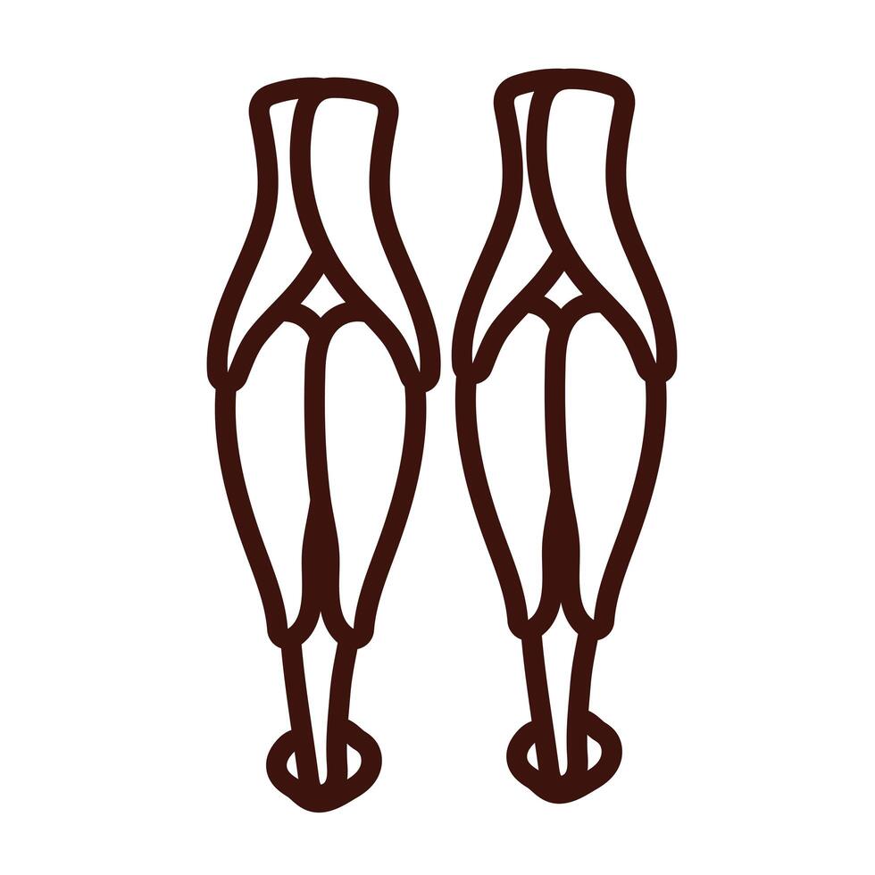 legs bones and muscles body human part line style vector