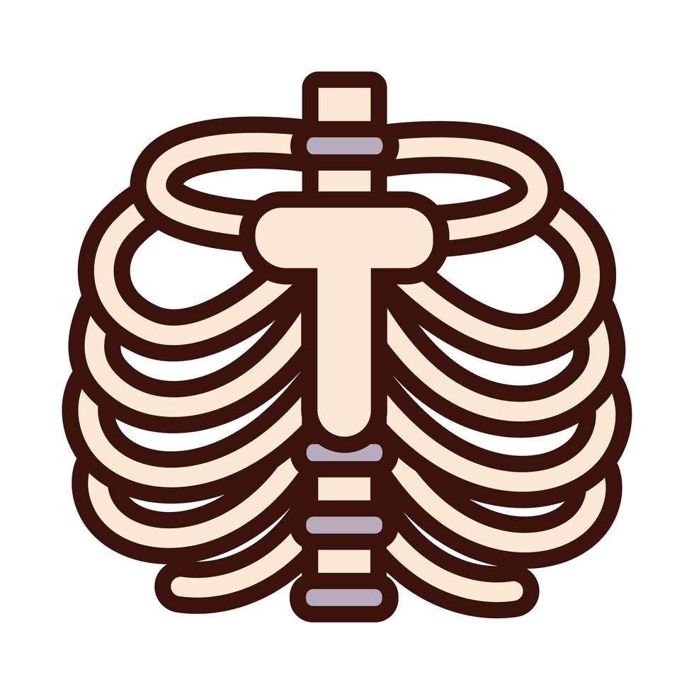 costillas huesos cuerpo parte humana estilo plano vector