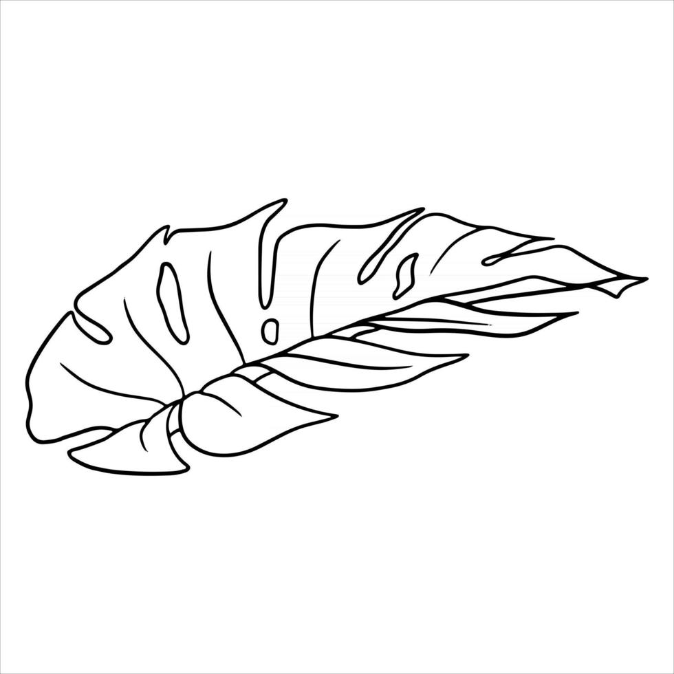 Tropical plants exotic carved green leaf in line style coloring book vector