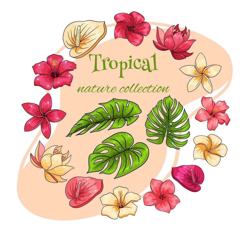 Tropical collection with exotic flowers and carved leaves in cartoon style vector